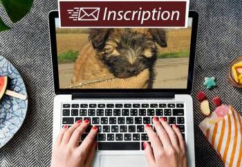 NewsLetters