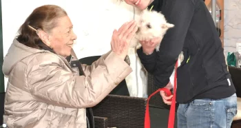 P&eacute;dadog et le 3eme &acirc;ge, le chien dans l'institution