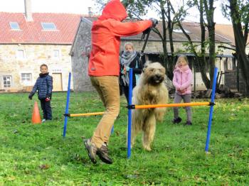 Pédadog stage l’enfant et le chien