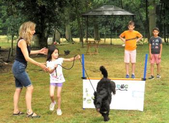 Stage enfants avec des chiens en été