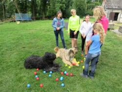 Stâge octobre l'enfant et le chien