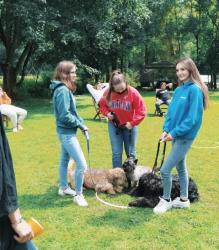 Stage ado et les chiens