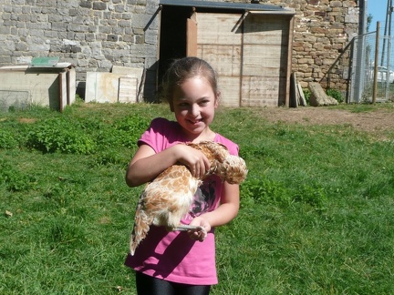 pedadog stage enfant chien 20150710103227