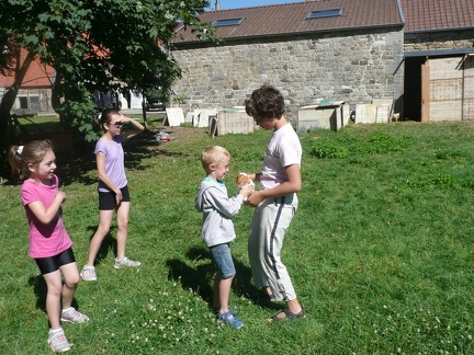 pedadog stage enfant chien 20150710103554