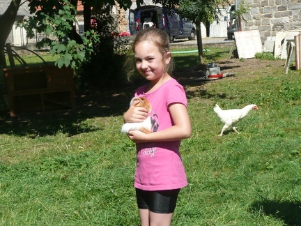 pedadog stage enfant chien 20150710103808