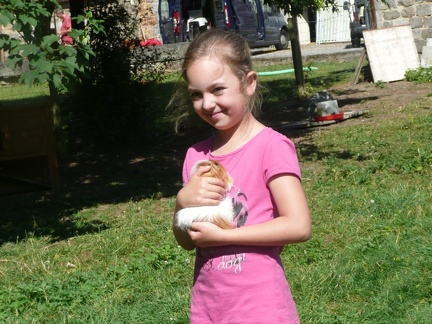 pedadog stage enfant chien 20150710103816