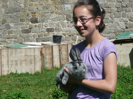 pedadog stage enfant chien 20150710103856