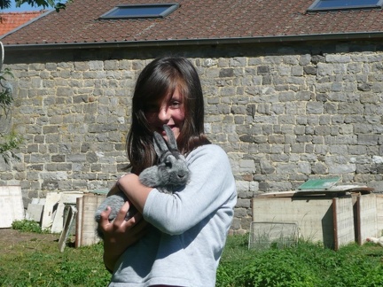 pedadog stage enfant chien 20150710103927