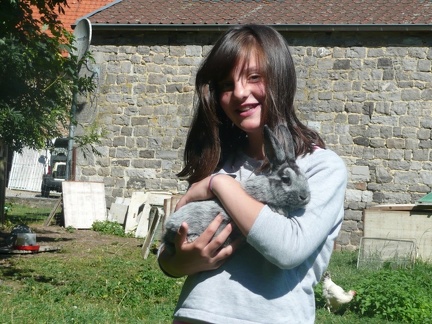 pedadog stage enfant chien 20150710104028