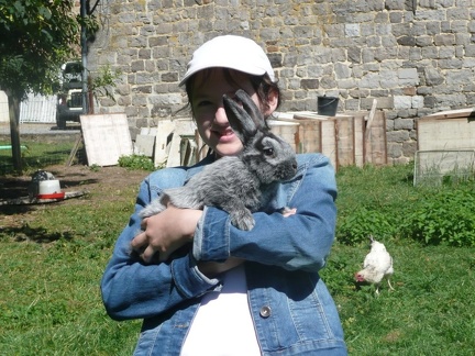 pedadog stage enfant chien 20150710104056