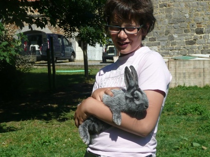 pedadog stage enfant chien 20150710104150