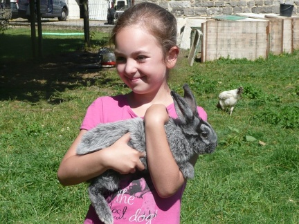 pedadog stage enfant chien 20150710104214