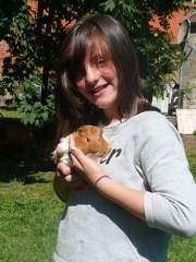 pedadog stage enfant chien 20150710104306