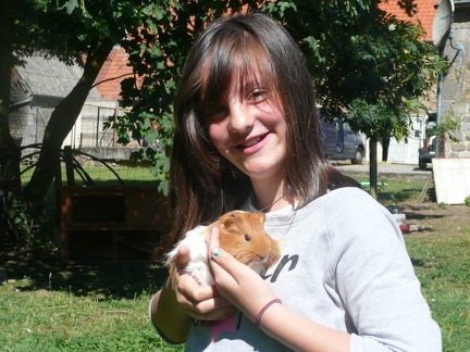 pedadog stage enfant chien 20150710104257