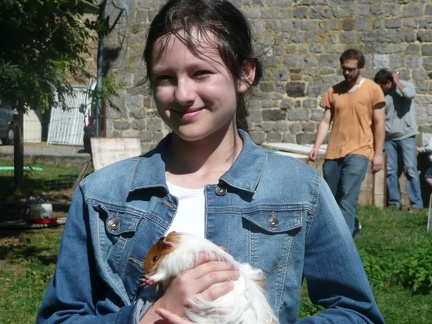 pedadog stage enfant chien 20150710104509