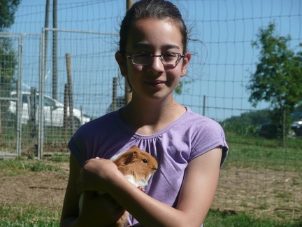 pedadog stage enfant chien 20150710104603