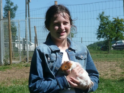 pedadog stage enfant chien 20150710104529