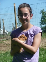 pedadog stage enfant chien 20150710104609