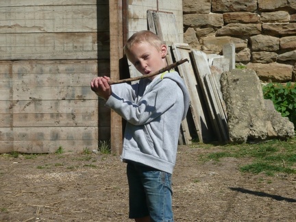 pedadog stage enfant chien 20150710104828