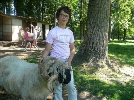 pedadog stage enfant chien 20150710105130