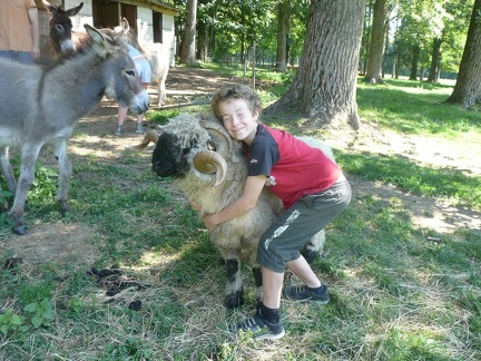 pedadog stage enfant chien 20150710105222