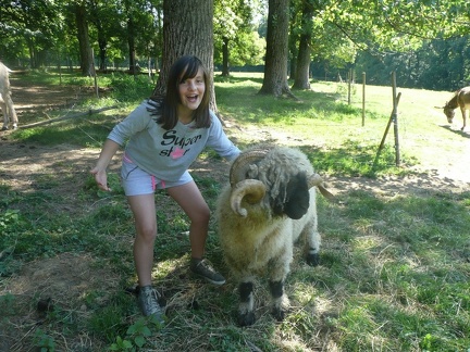 pedadog stage enfant chien 20150710105245