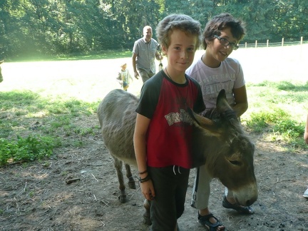 pedadog stage enfant chien 20150710105407