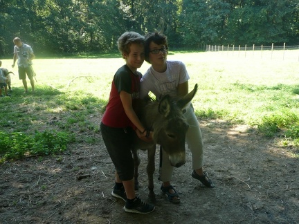 pedadog stage enfant chien 20150710105357