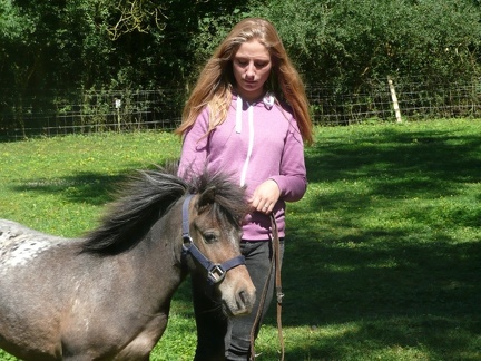 pedadog stage enfant chien 20150710105927