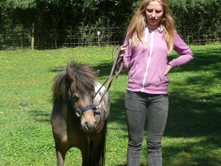 pedadog stage enfant chien 20150710105915