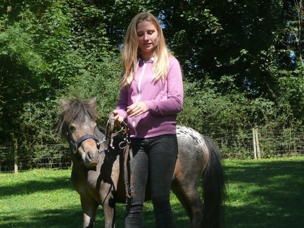 pedadog stage enfant chien 20150710110257