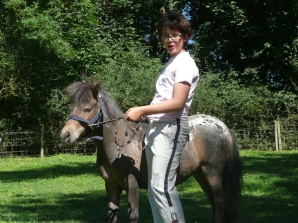 pedadog stage enfant chien 20150710110310