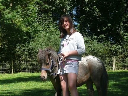 pedadog stage enfant chien 20150710110326