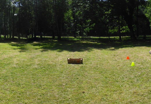 29 diapo pedadog enfant chien stage juillet 2017 jeudi