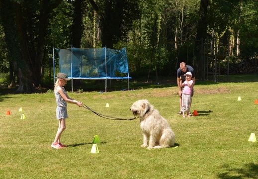 14 pedadog enfant chien stage juillet 2017 jeudi