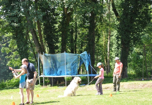 20 pedadog enfant chien stage juillet 2017 jeudi