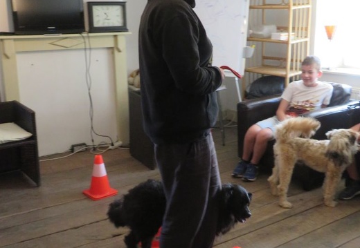 214 pedadog enfant chien stage aout 2018