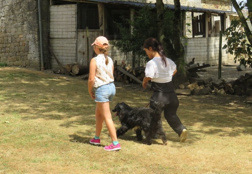 007 pedadog enfant chien stage aout 2018