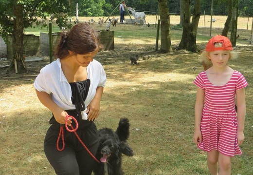 010 pedadog enfant chien stage aout 2018