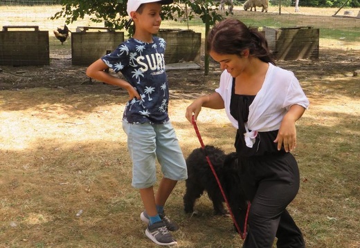 011 pedadog enfant chien stage aout 2018