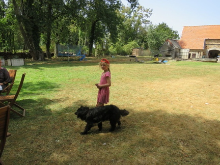 026 pedadog enfant chien stage aout 2018