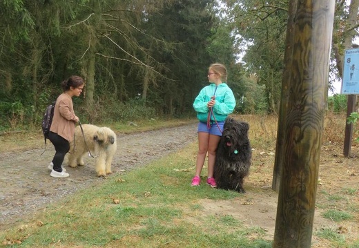 068 pedadog enfant chien stage aout 2018