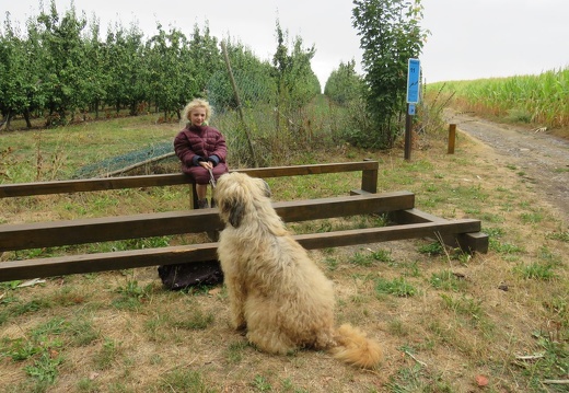 089 pedadog enfant chien stage aout 2018