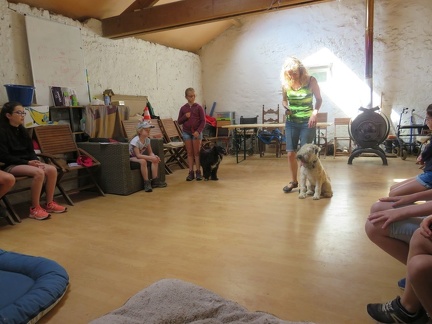 177 pedadog enfant chien stage aout 2018