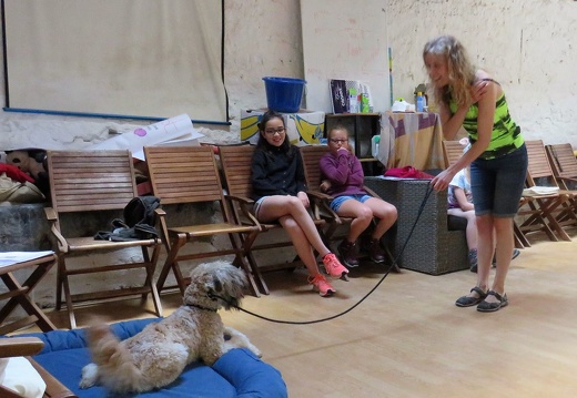 183 pedadog enfant chien stage aout 2018