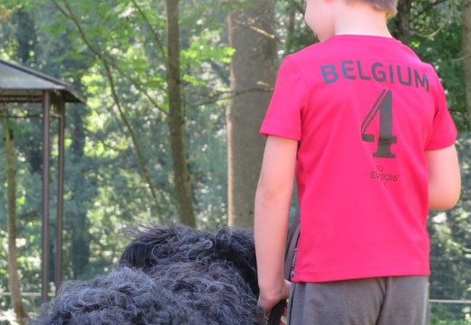 121 pedadog enfant chien stage juillet 2018