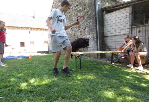 136 pedadog enfant chien stage juillet 2018