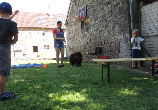 138 pedadog enfant chien stage juillet 2018