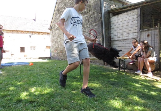 137 pedadog enfant chien stage juillet 2018
