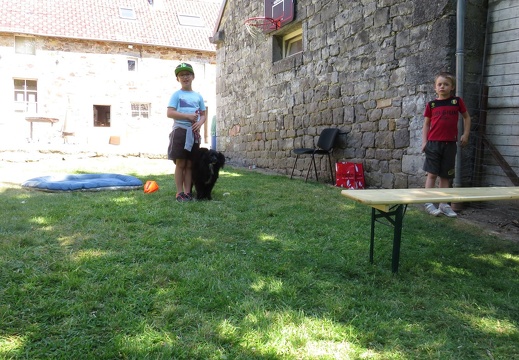 139 pedadog enfant chien stage juillet 2018